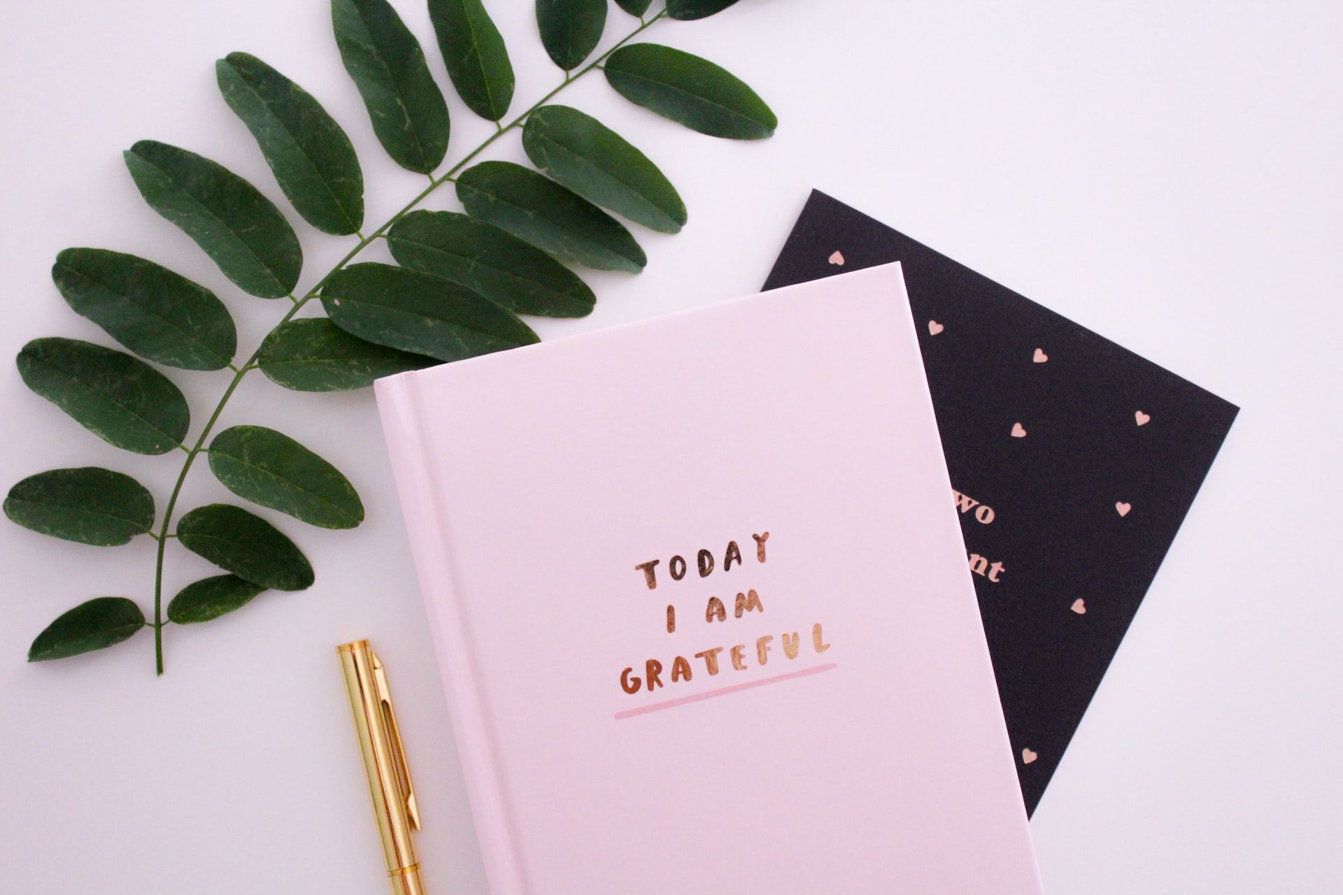 free-writing: a new kind of day
