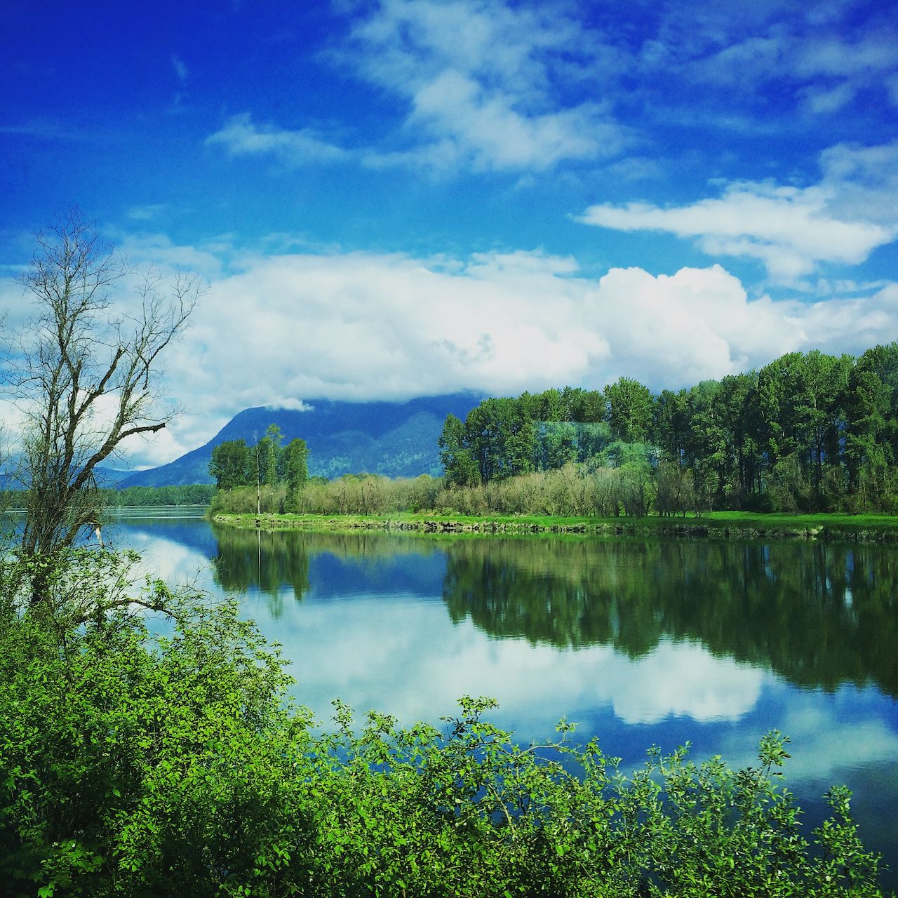 lake with green trees and mountains in the background, reflecting the blue sky and white clouds