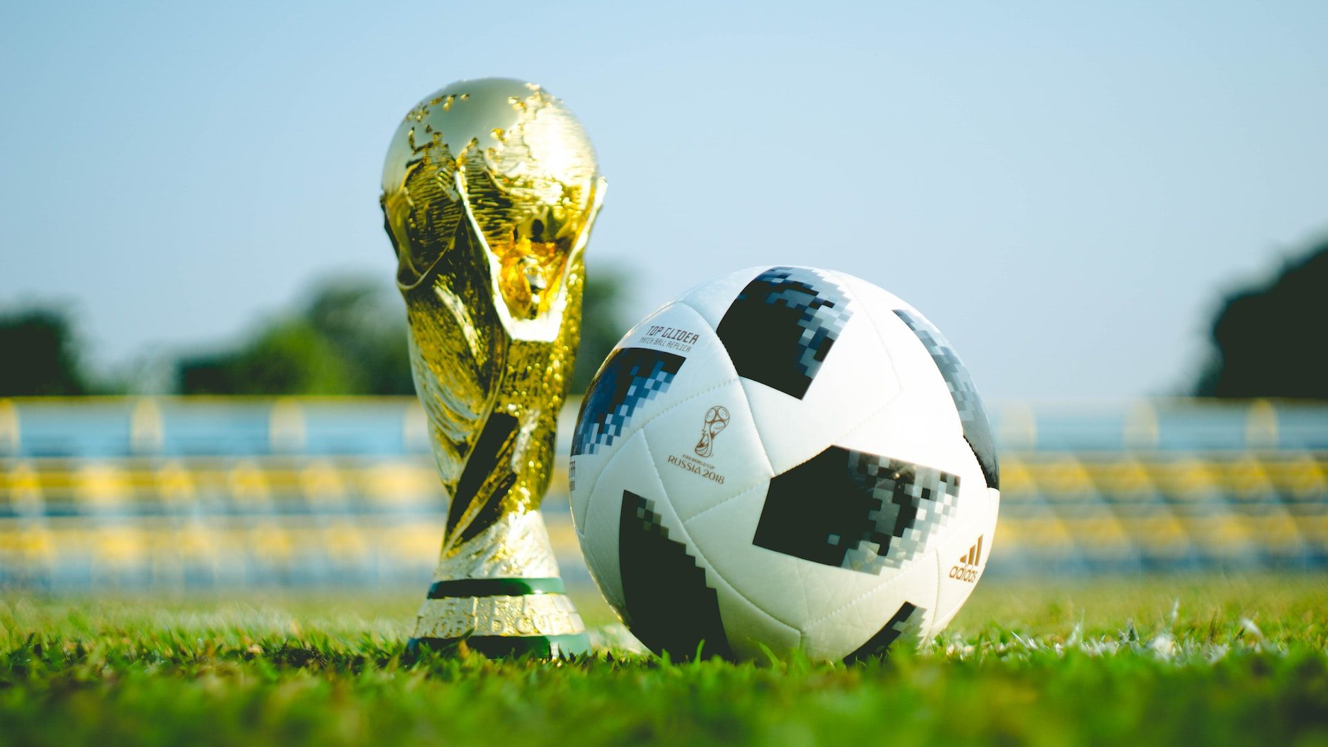 soccer ball and golden trophy on grass