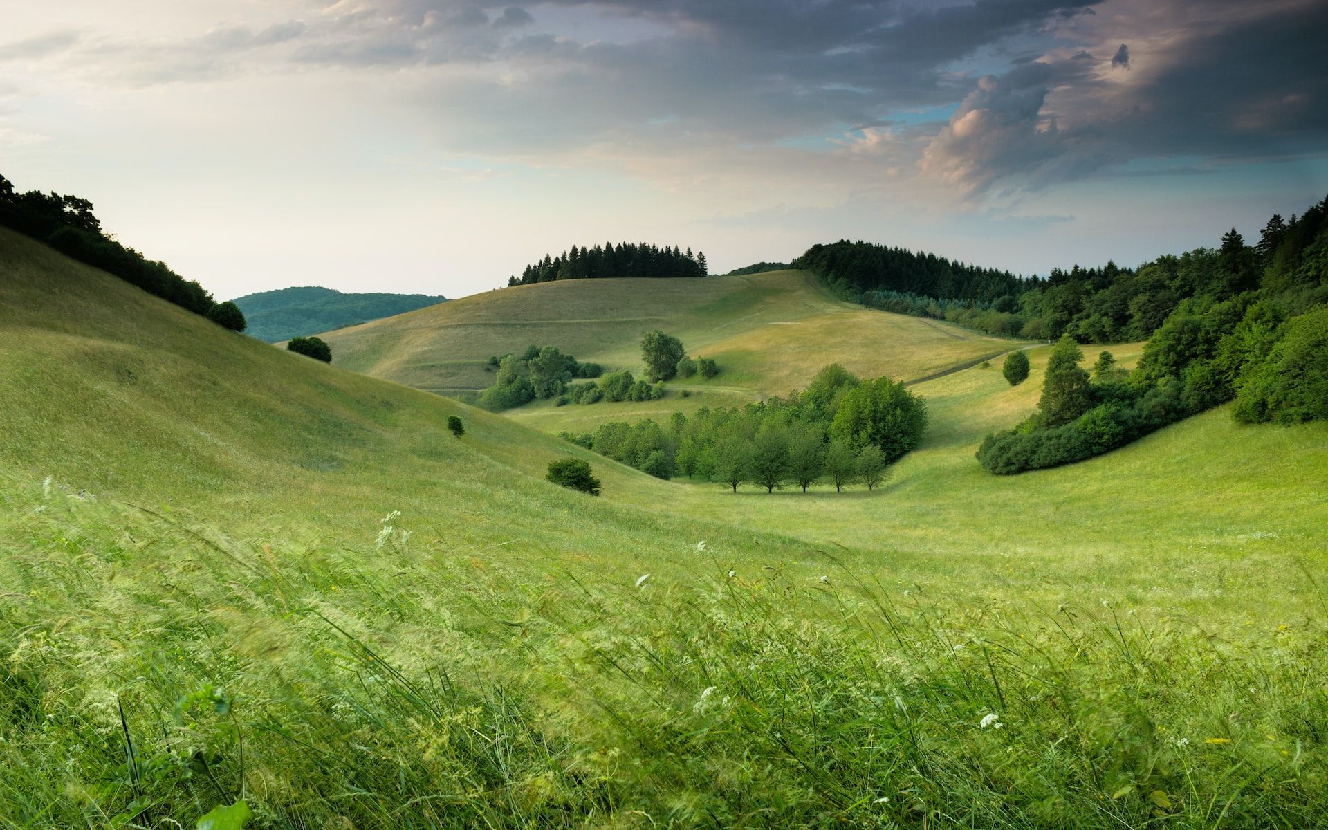 green meadows and hills