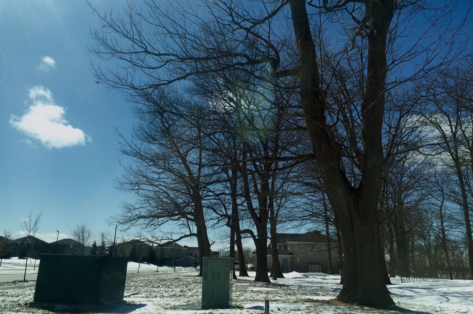 winter