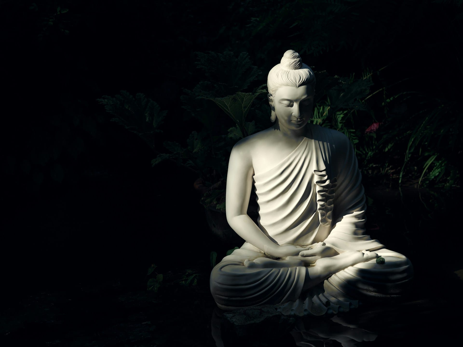 white statue of Buddha against a dark background