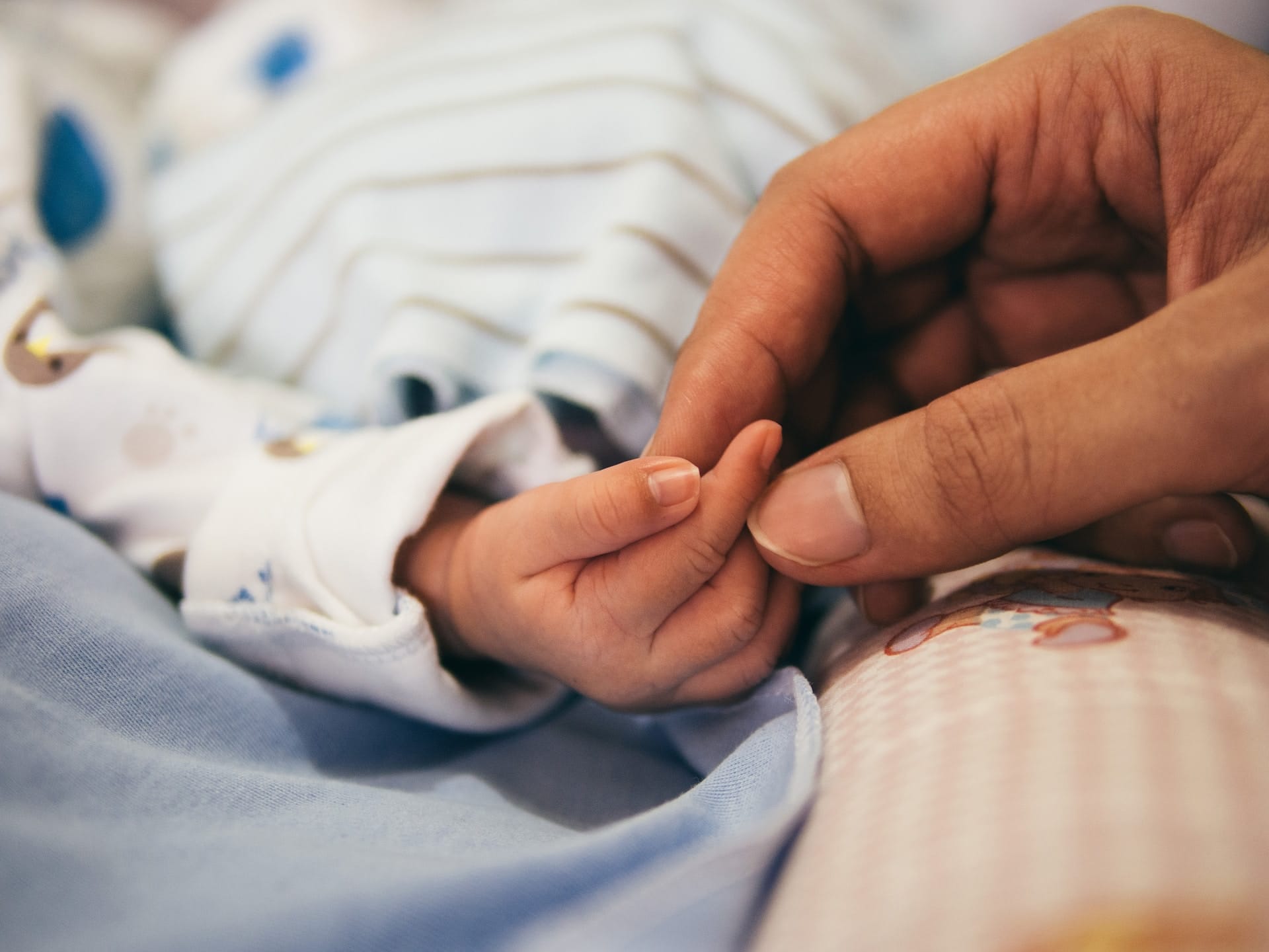 a parent's hand holding a baby's tiny fingers