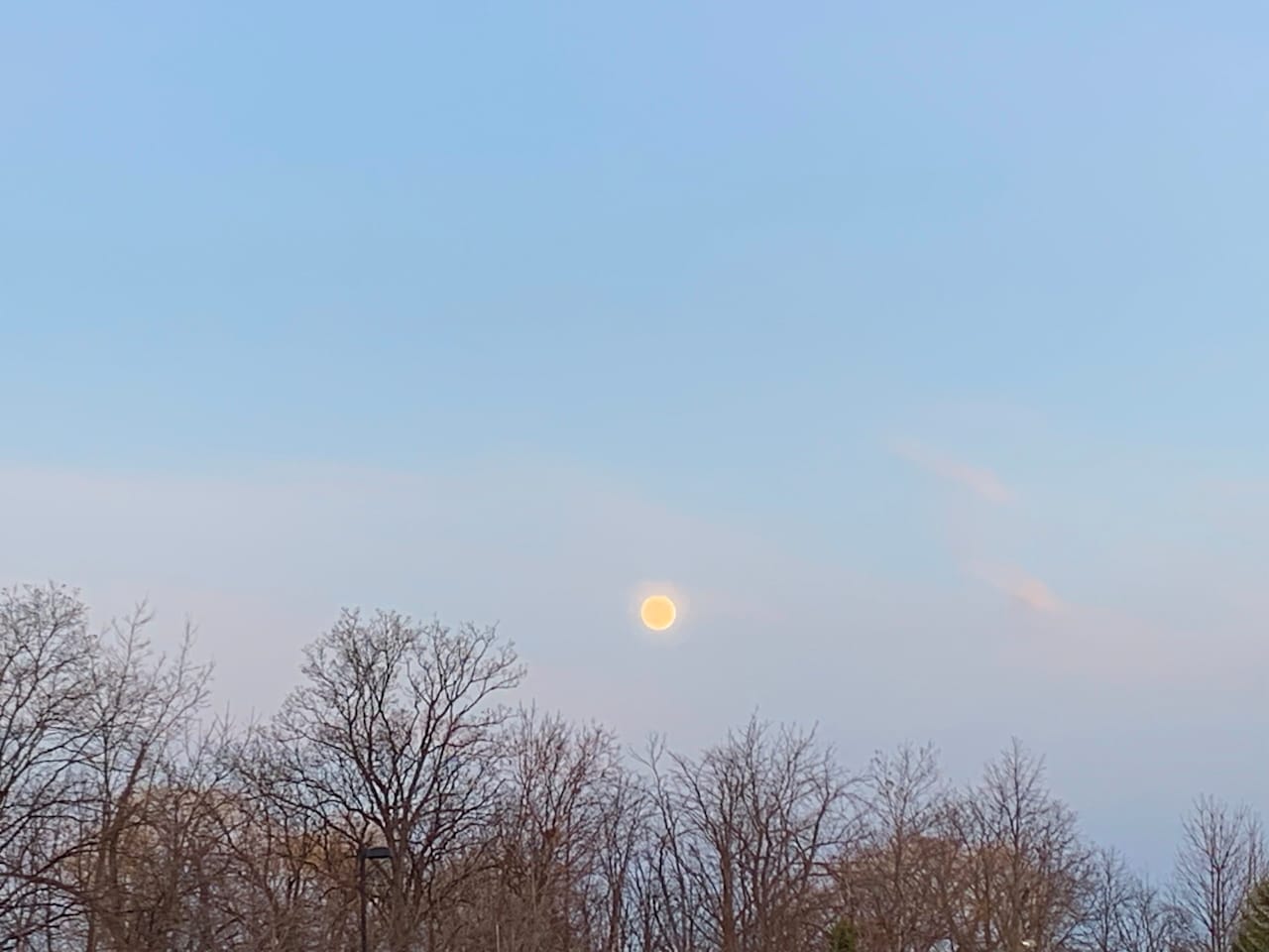 full moon glowing in a strangely pale blue night sky