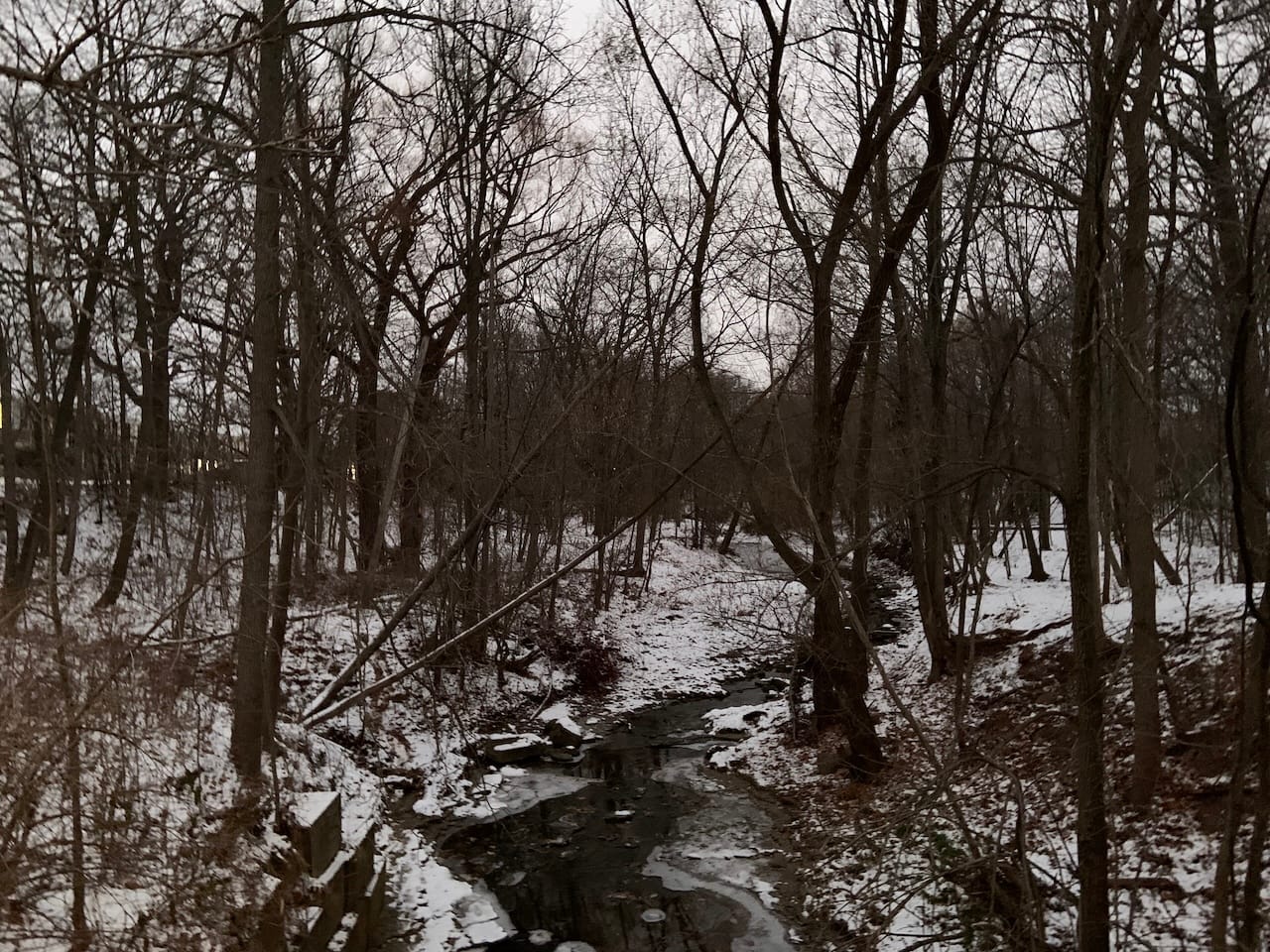 image of bare-branched trees flanking a frozen creek on a snowy woodland ground