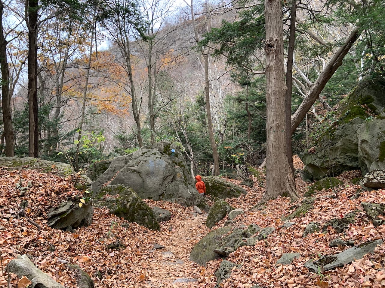 a tiny creature, clad in orange, disappearing behind a boulder down a bend in a woodland trail