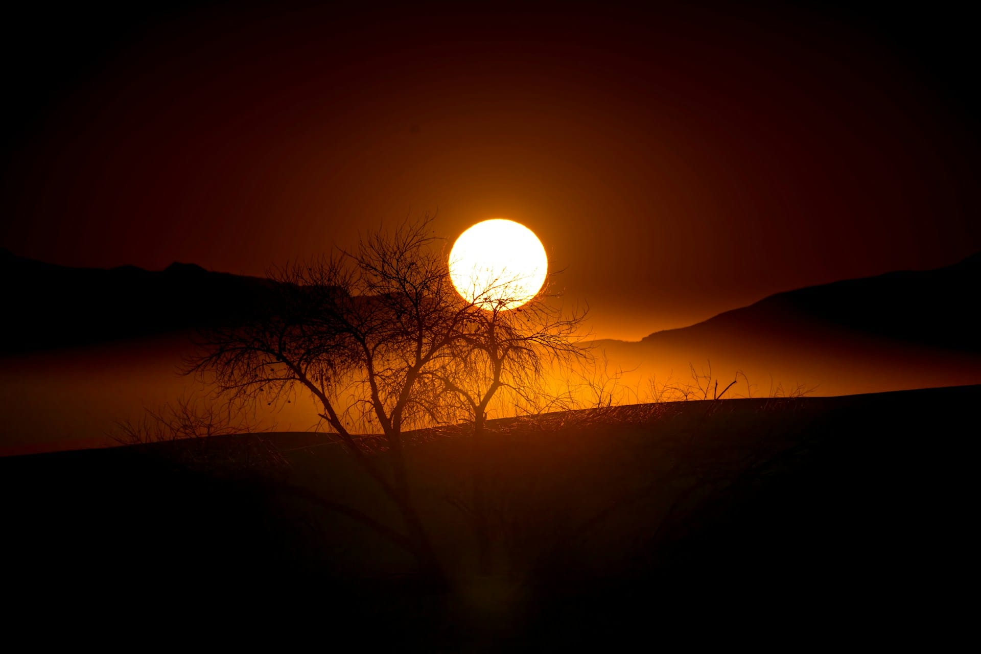 Sunset at White Sands National Park over silhouetted desert trees and distant mountains