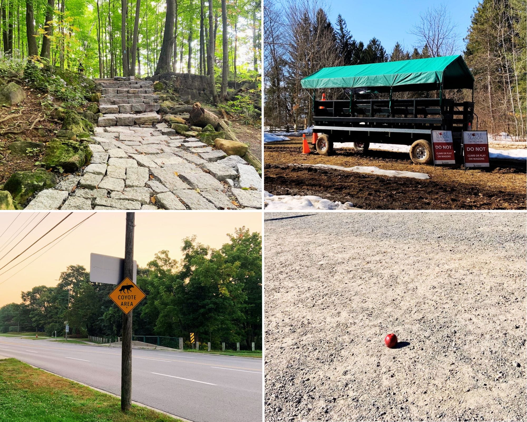 4-photo collage of images that inspired four 'tales for dreamers' short fiction tales in April 2025