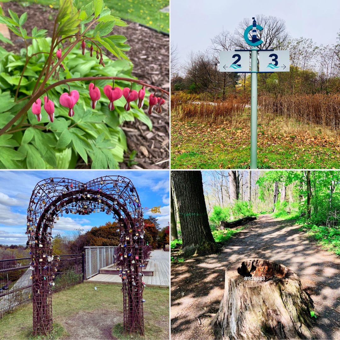Collection of four images features in Tales For Dreamers stories in May
