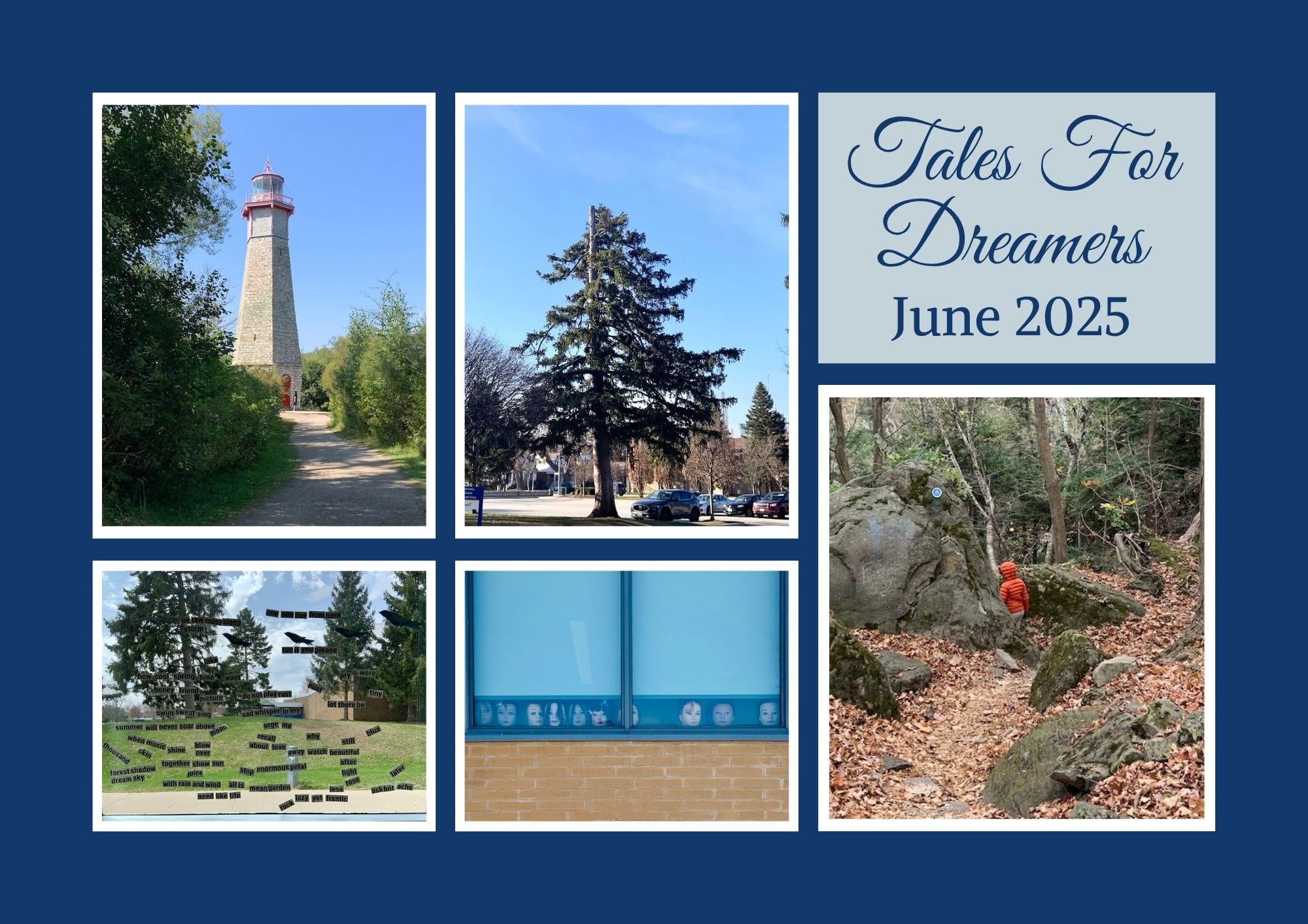 5-photo collage of images that inspired the June 2025 collection of Tales For Dreamers stories