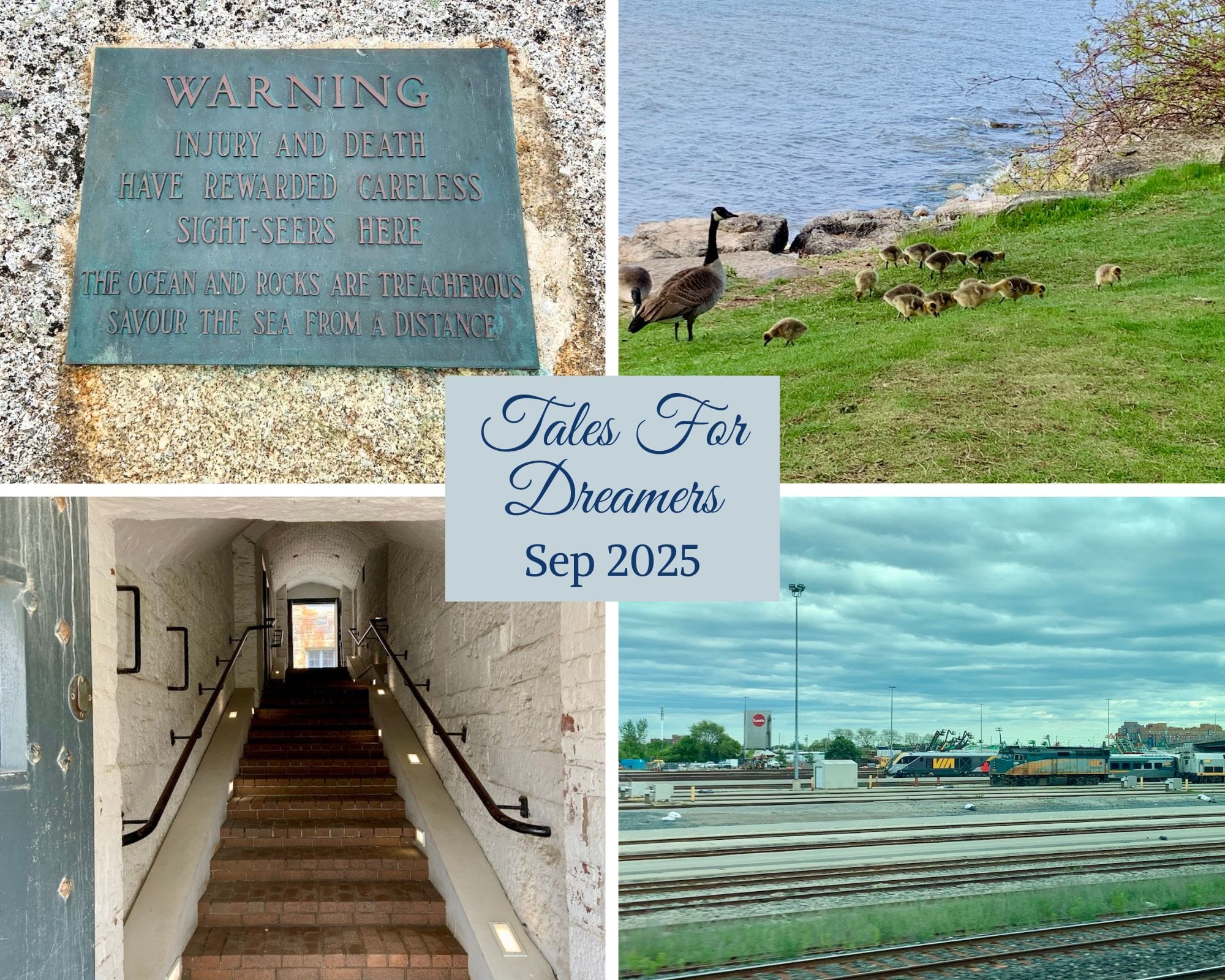 gallery of four images - a warning sign, goslings, railway tracks, a flight of stairs (clockwise from Top Left) - featured in September's Tales For Dreamers