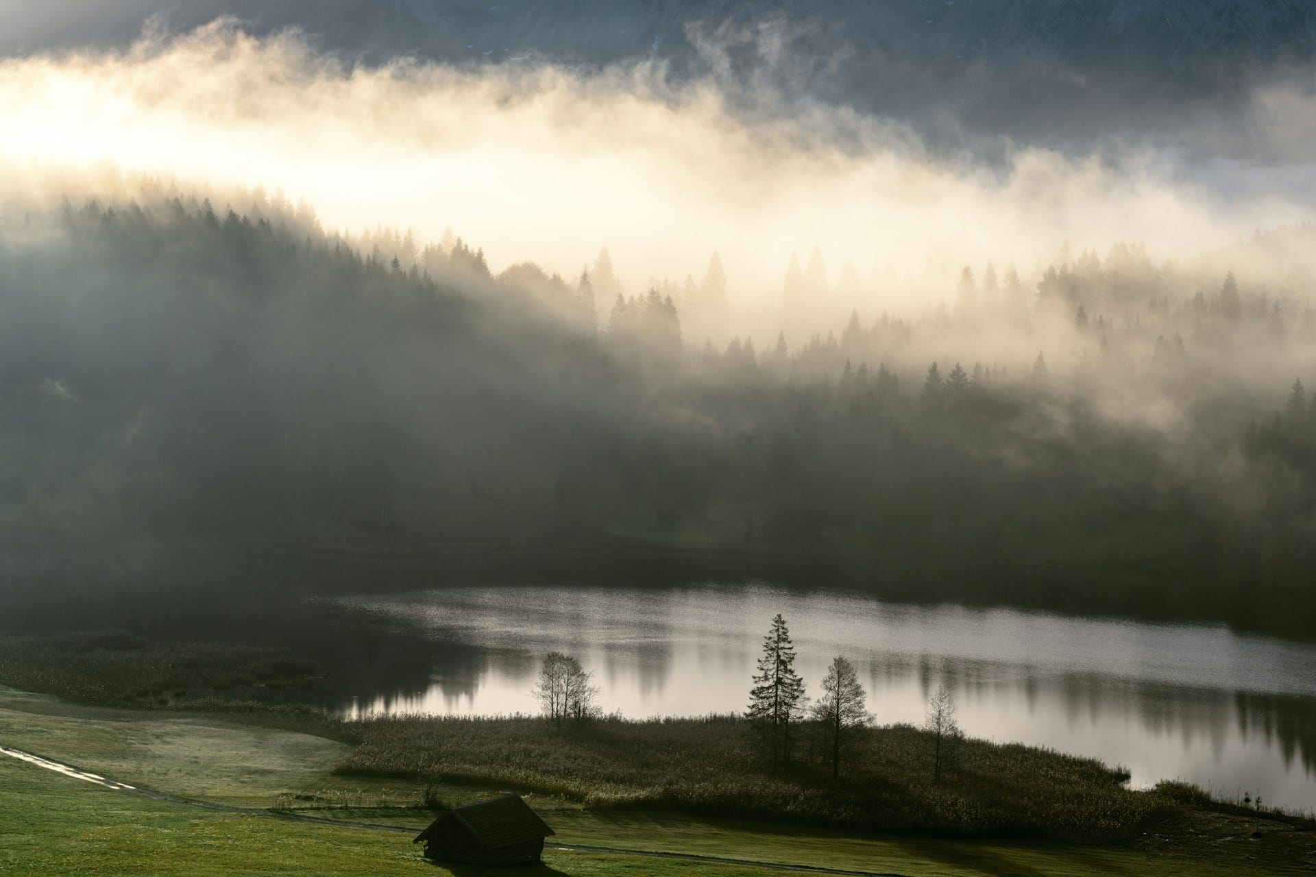 a large body of water surrounded by trees, all enveloped in early morning fog