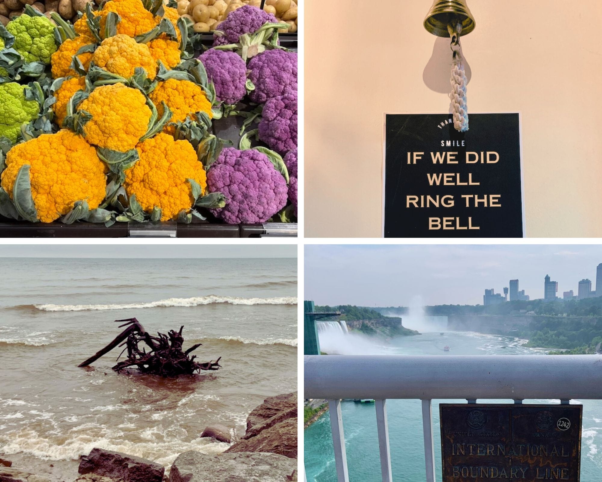 November Nascence: Monthly Missives from The Dream Pedlar