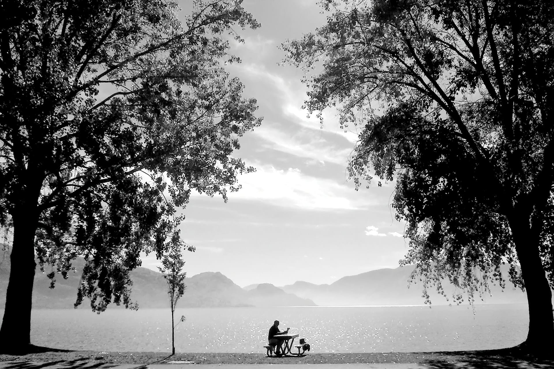 Black-and-white image of a silhouetted man sitting on a bench by a lake with two tall trees flanking him and distant mountains 