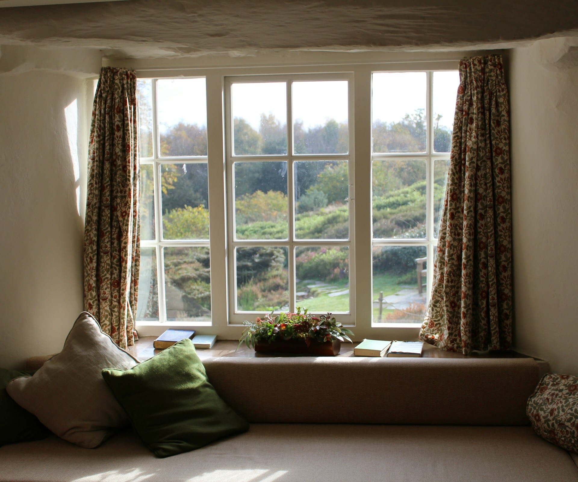view from a window overlooking green trees