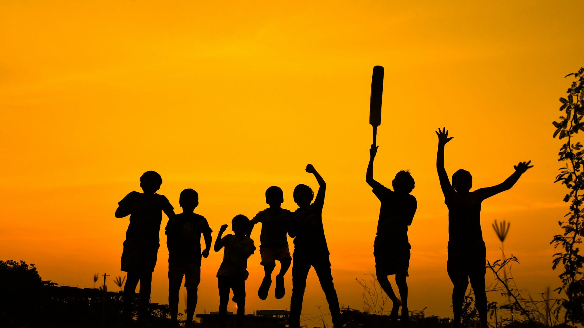 silhouette of young boys holding up a cricket bat against an orange sky