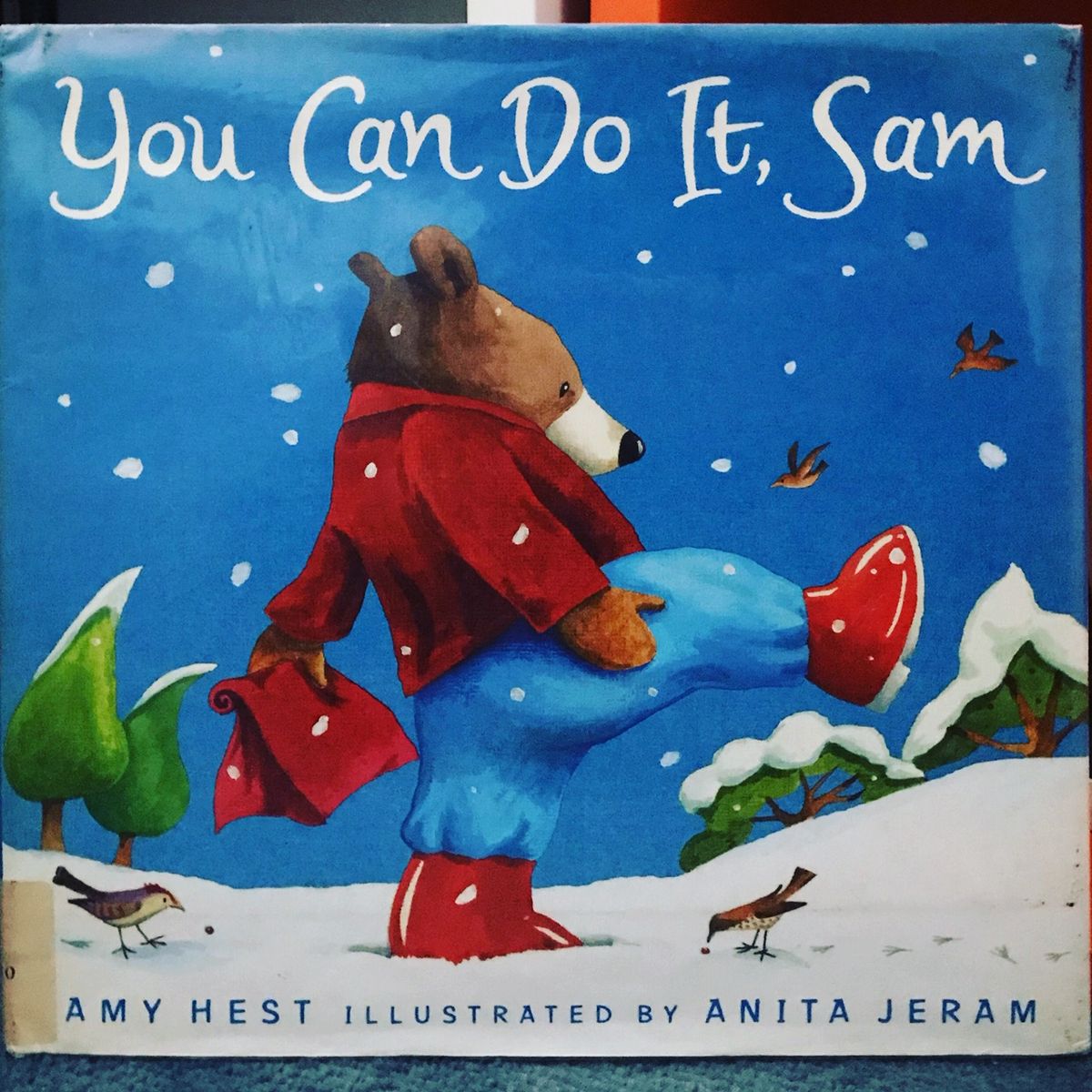 You Can Do It, Sam by Amy Hest & Anita Jeram