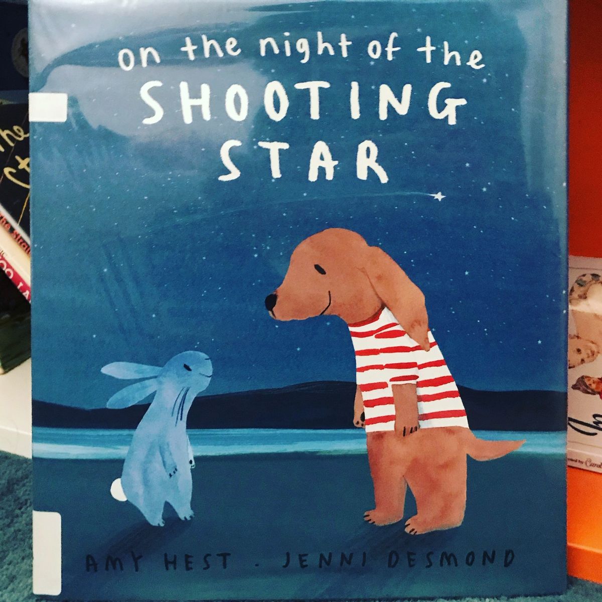 On The Night of the Shooting Star by Amy Hest & Jenni Desmond