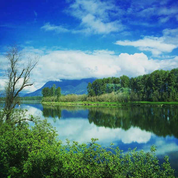 lake with green trees and mountains in the background, reflecting the blue sky and white clouds