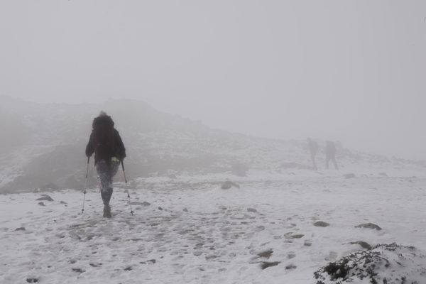 person walking through a snow-covered field with low visibility