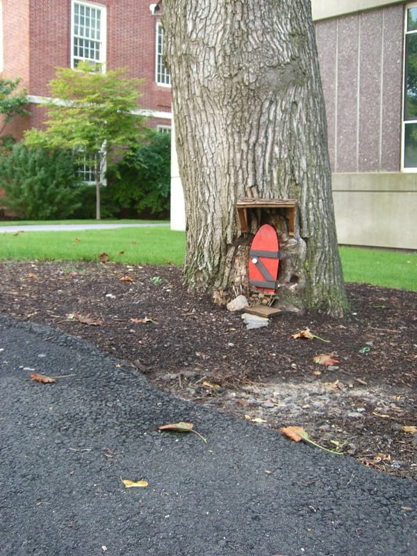 a tree trunk with a red skateboard resting against its base