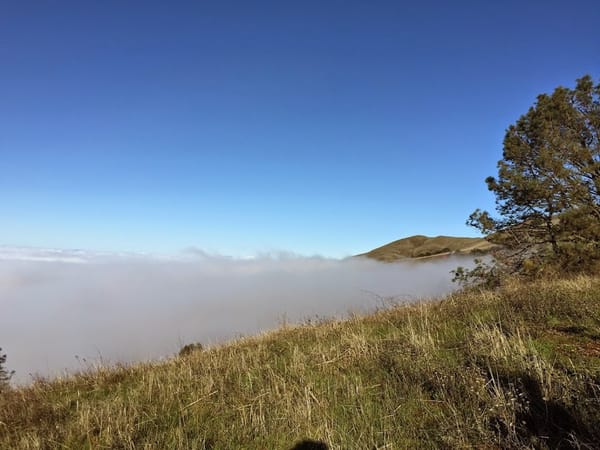 mist peeling off a hillside