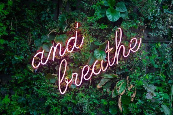 neon sign saying 'and breathe' against a backdrop of green foliage