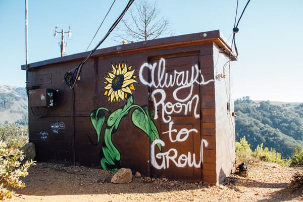 cabin in the woods painted on the outside depicting a sunflower and the words 'always room to grow'