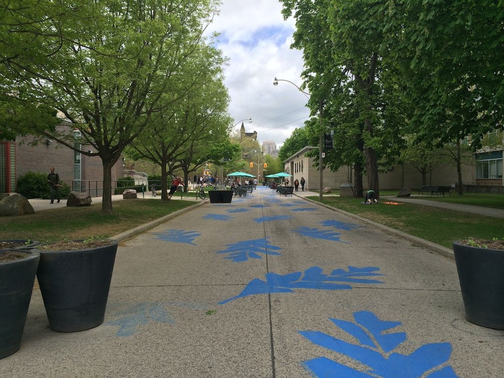 large blue acorn leaves painted on a concrete path flanked by tree-lined sidewalks