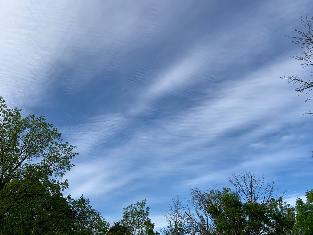 streaks of wrinkled white clouds across a bright blue sky