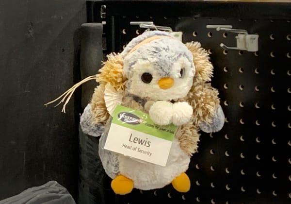 a stuffed toy with a label that says 'Lewis, Head of Security'