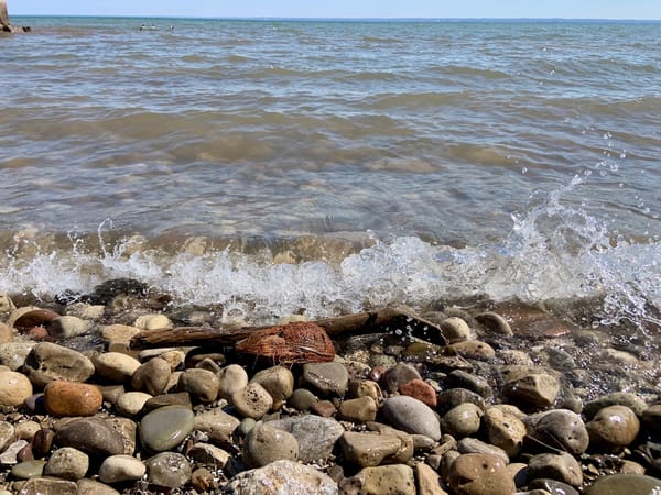 a coconut on a rocky shore of a vast lake
