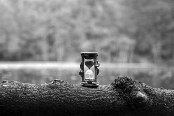 a greyscale image of an hourglass placed on a log of wood against a blurred backdrop of trees and a lake