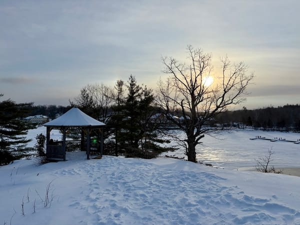 sun rising over a snow-filled landscape against trees with bare branches