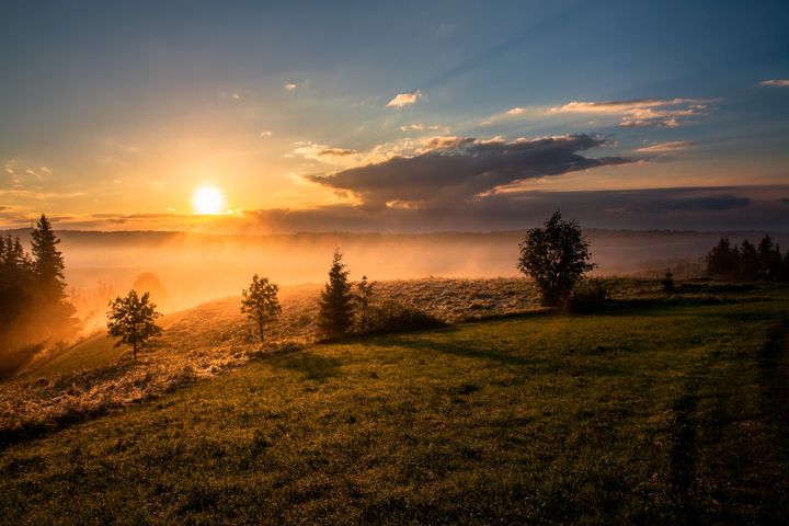 sunrise over a grassy hill