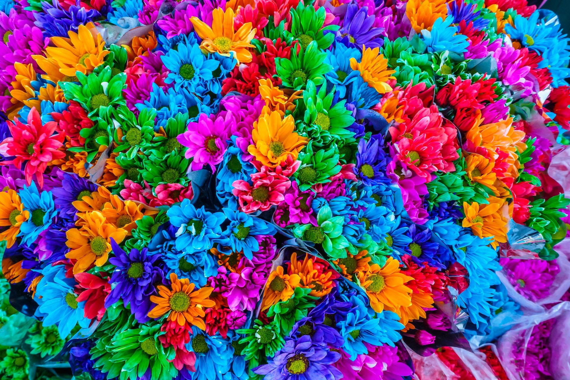 bouquets of colourful flowers - pink, orange, green, purple, blue - bunched together in a colourful mosaic