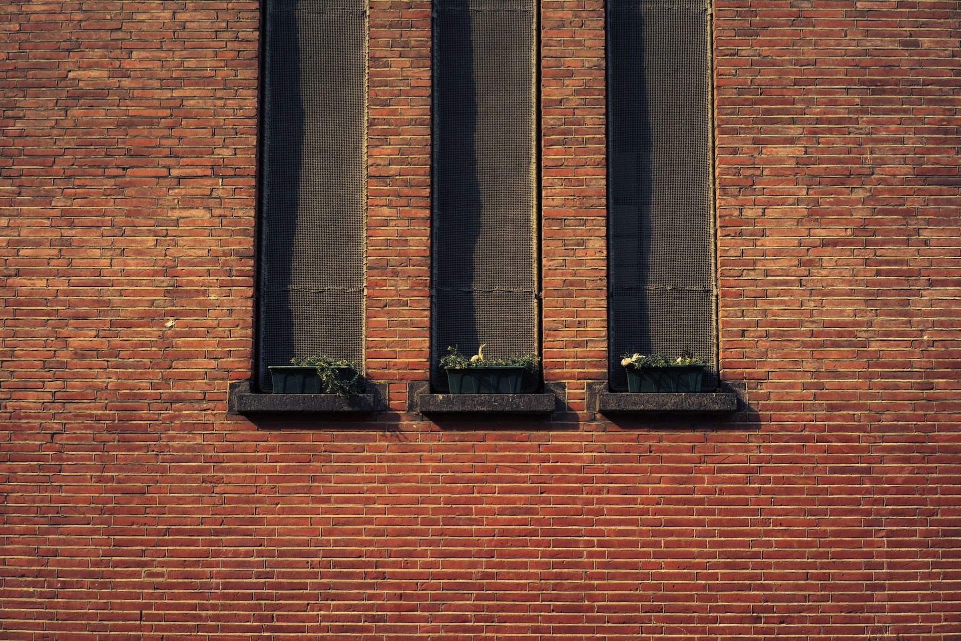 three long windows with flower boxes on a brown brick wall
