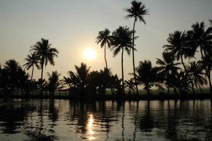 palm trees and a sunset reflected in a river