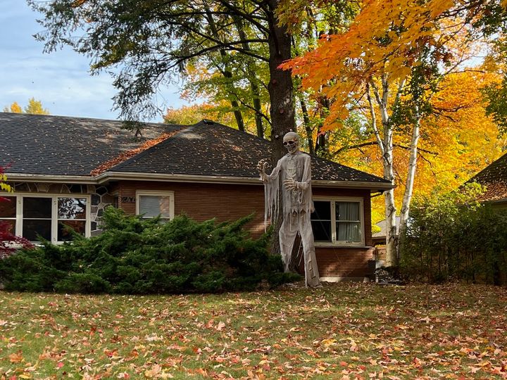 gigantic skeleton in shabby attire on the front lawn of a single-storey home surrounded by fallen leaves