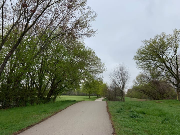 a path through grass and trees