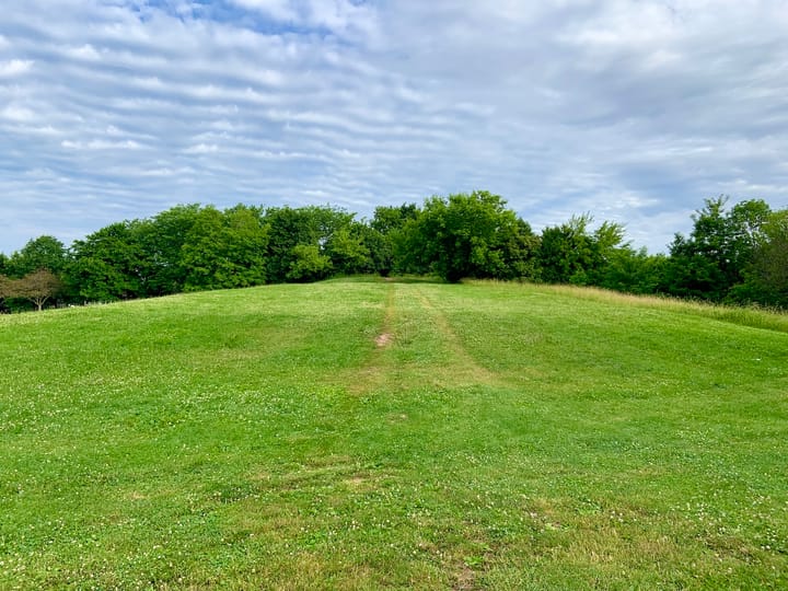 a grassy knoll sloping upwards and meeting the blue sky