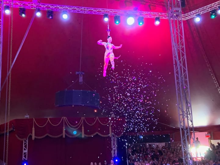 circus acrobat in the air sprinkling glitter below