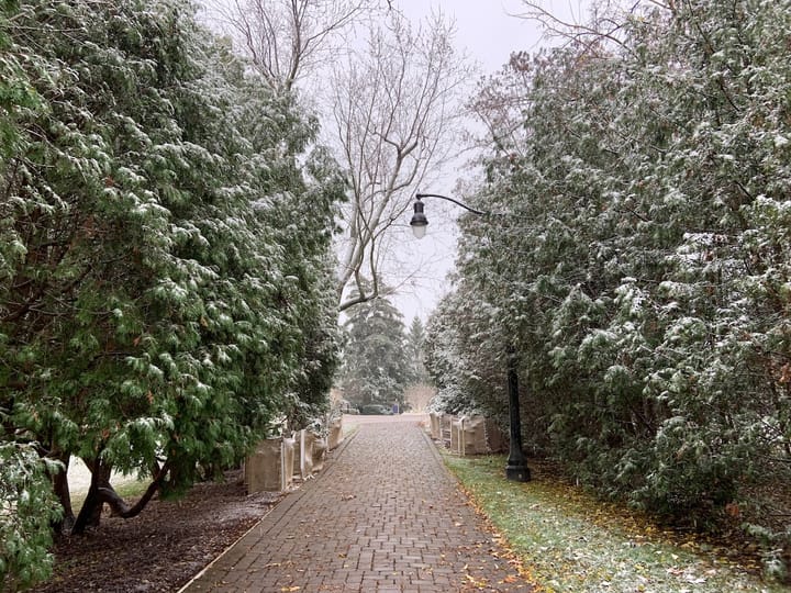 cobblestoned path lined with evergreens on both sides dusted with snow