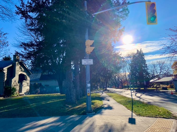 a notice saying 'Pedestrians obey your signals' fixed to a streetlight pole at a crosswalk