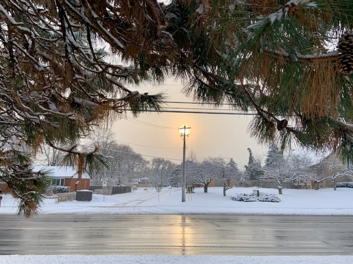 a wintry sun behind an electric pole giving the appearance of a streetlamp on a snowy lawn