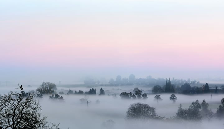 a foggy landscape with silhouettes of trees in the foreground